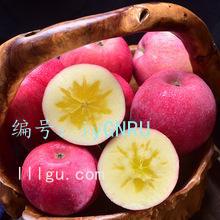 չ滮