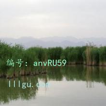 Ը